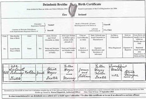 births deaths and marriages ireland.